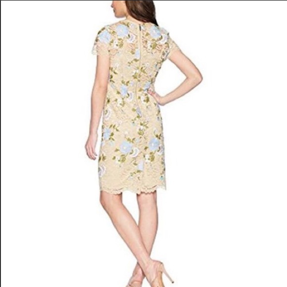 Calvin Klein Lace Dress Beige Floral Short Sleeve - Picture 7 of 8